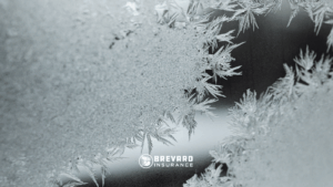 ice from winter storm