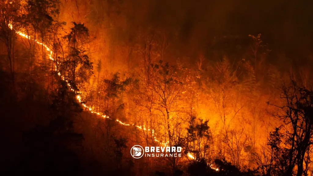 wildfire