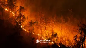 wildfire