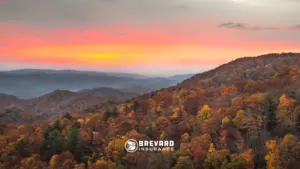 fall colors in brevard area