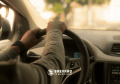 How much is auto insurance?