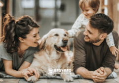 family with dog