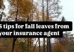 Fall Leaves Tips