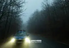 deer on wnc roads