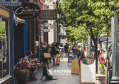 how to insure an llc