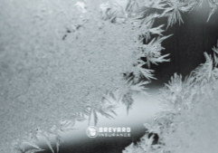 ice from winter storm